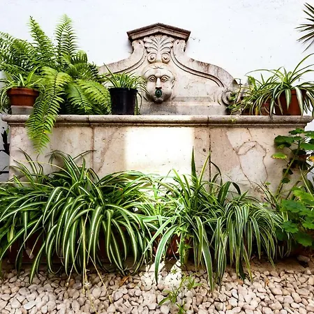 Casa De Chema *